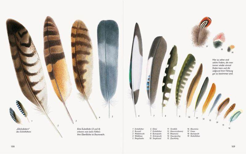 Unserer Natur auf der Spur Natur-Verlag Wawra