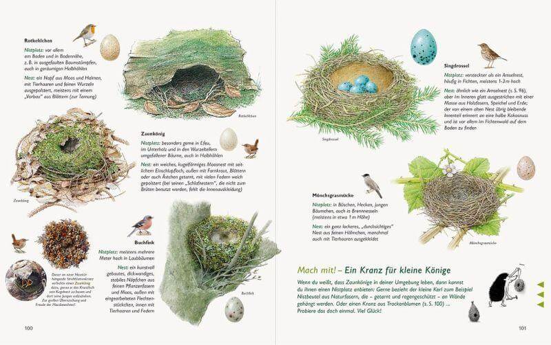 Unserer Natur auf der Spur Natur-Verlag Wawra