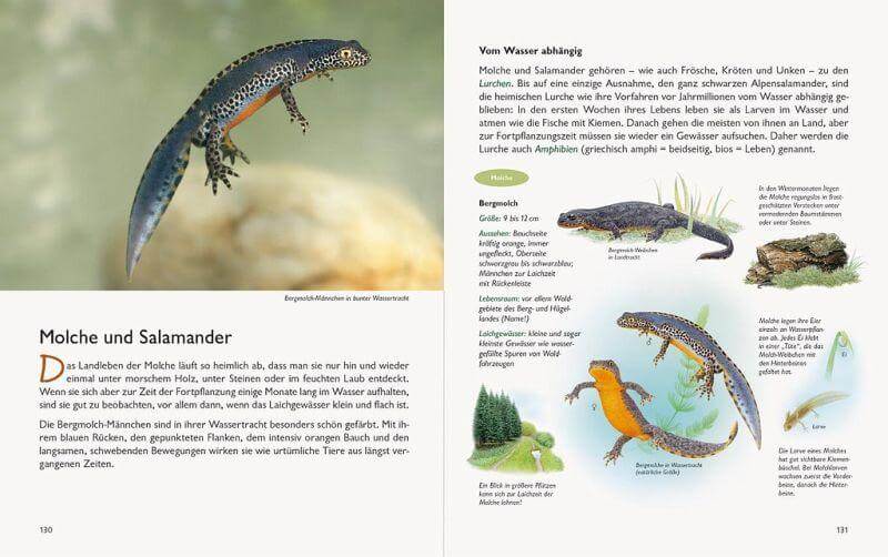 Unserer Natur auf der Spur Natur-Verlag Wawra