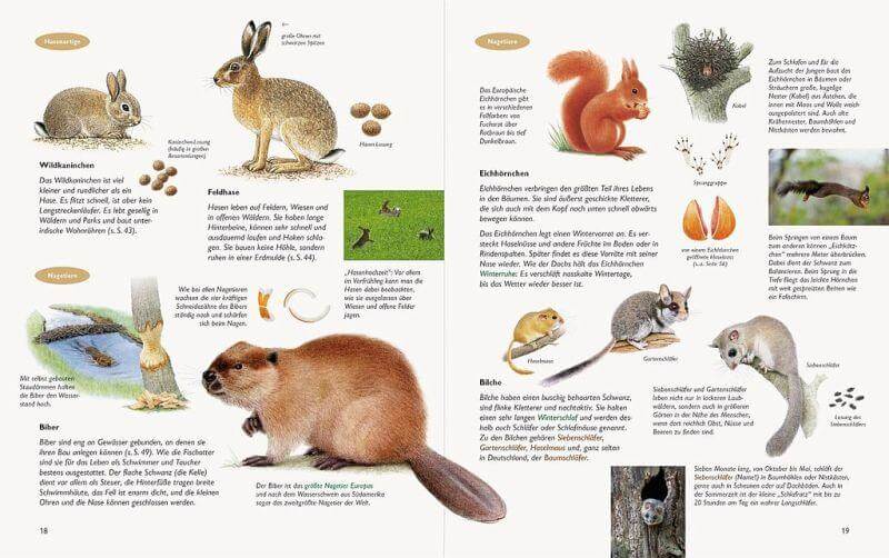 Unserer Natur auf der Spur Natur-Verlag Wawra