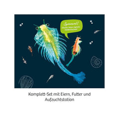 Urzeit-Krebse - 657871 Moses