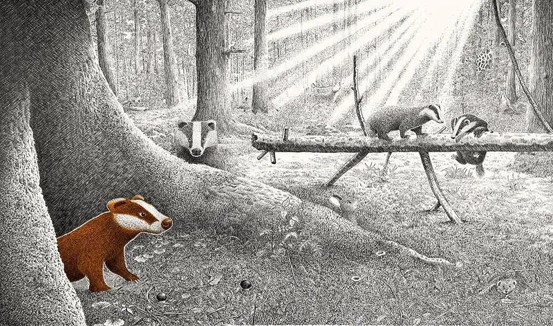 Versteckt im Wald - 9783772531989 Verlag Freies Geistesleben