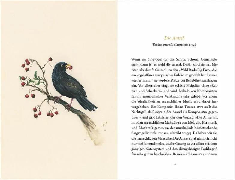 Vom Glück des Vogelgesangs - 9783458195481 Insel Verlag