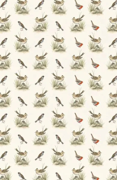 Vom Glück des Vogelgesangs - 9783458195481 Insel Verlag