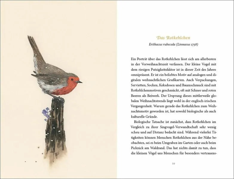 Vom Glück des Vogelgesangs - 9783458195481 Insel Verlag