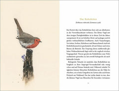 Vom Glück des Vogelgesangs - 9783458195481 Insel Verlag