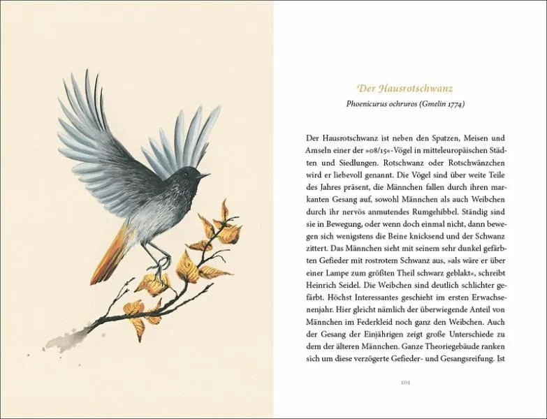 Vom Glück des Vogelgesangs - 9783458195481 Insel Verlag