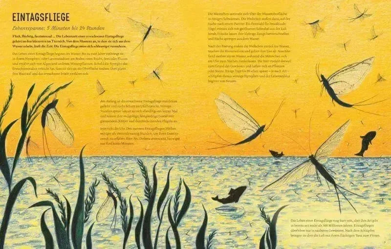 Von Eintagsfliege bis Grönlandwal Carlsen Verlag