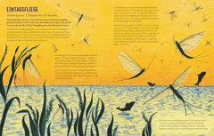 Von Eintagsfliege bis Grönlandwal Carlsen Verlag