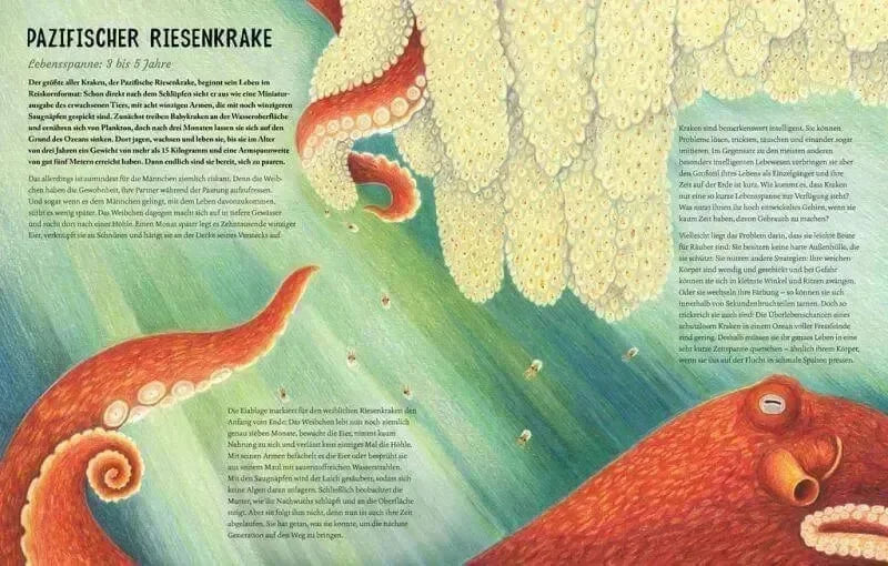 Von Eintagsfliege bis Grönlandwal Carlsen Verlag