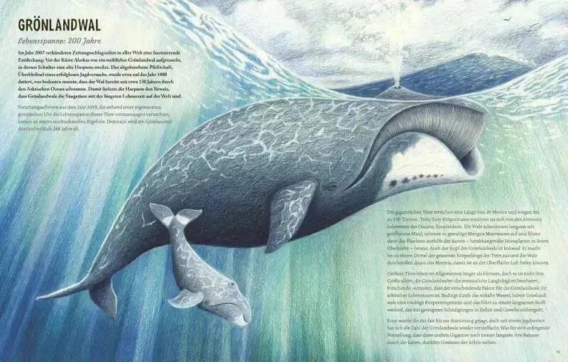 Von Eintagsfliege bis Grönlandwal Carlsen Verlag