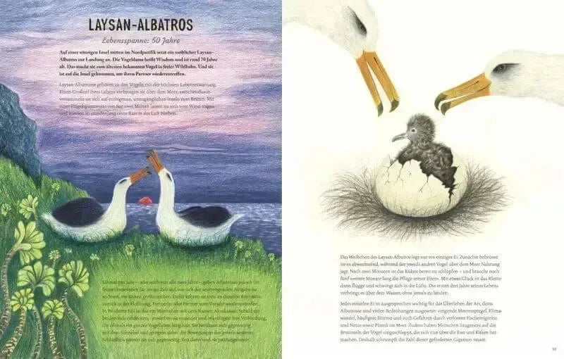 Von Eintagsfliege bis Grönlandwal Carlsen Verlag