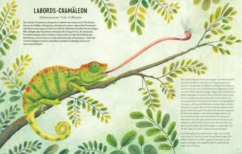 Von Eintagsfliege bis Grönlandwal Carlsen Verlag