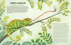 Von Eintagsfliege bis Grönlandwal Carlsen Verlag