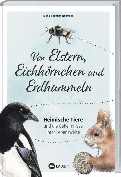 Von Elstern, Eichhörnchen und Erdhummeln - www. kunstundspiel .de 9783784357348
