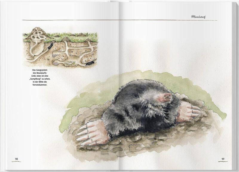 Von Elstern, Eichhörnchen und Erdhummeln Landwirtschaftsverlag