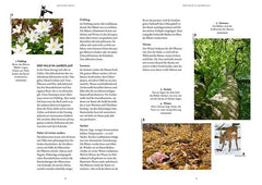 Waldglück - Der Mitmach-Ratgeber für die ganze Familie