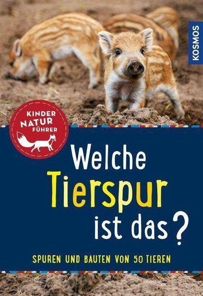 Welche Tierspur ist das? - Kindernaturführer - www. kunstundspiel .de 9783440167403