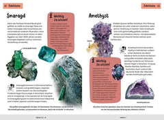 Welcher Stein ist das? (Kindernaturführer)