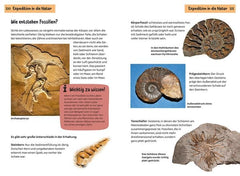 Welcher Stein ist das? (Kindernaturführer)