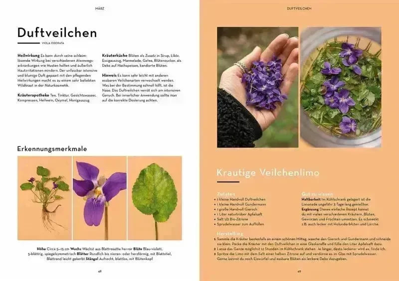Wild durchs Jahr - 9783440177594 Kosmos
