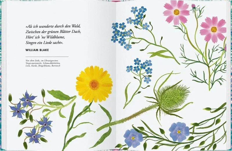 Wildblumen pflanzen - 9783836922067 Gerstenberg Verlag