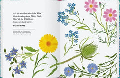 Wildblumen pflanzen - 9783836922067 Gerstenberg Verlag