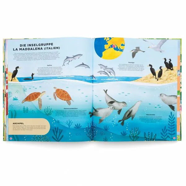 Wo die wilden Tiere leben: Artenvielfalt rund um die Welt - 9783967047738 Kleine Gestalten