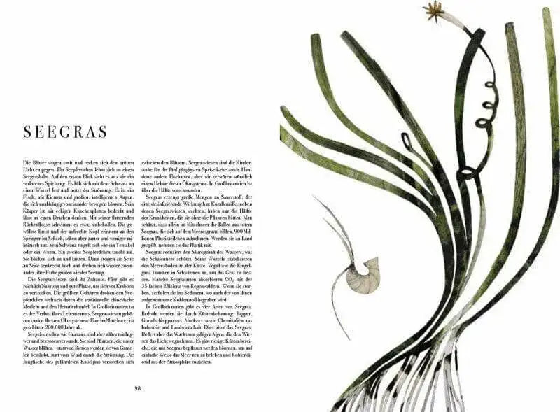 Wunder der Natur Prestel Verlag
