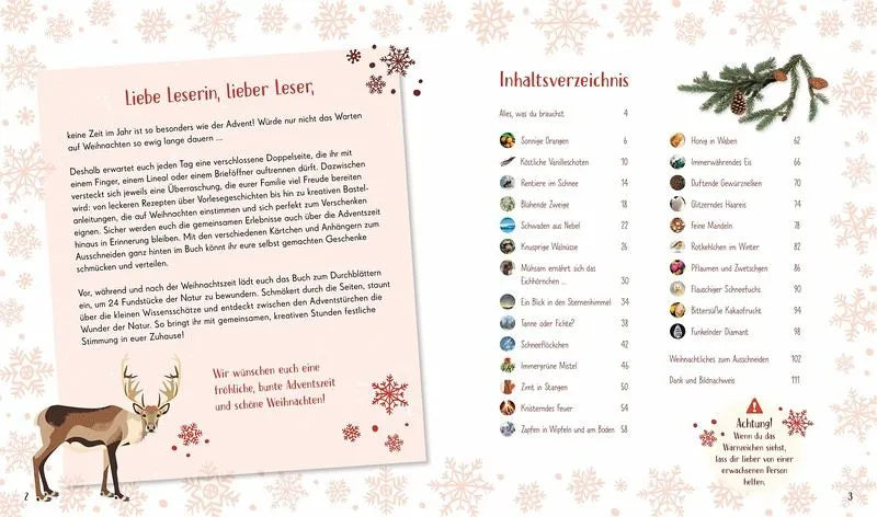 Wundervolle Welt. Adventskalender - 9783831051403 Dorling Kindersley Verlag