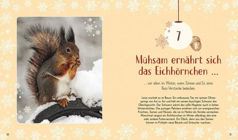 Wundervolle Welt. Adventskalender - 9783831051403 Dorling Kindersley Verlag
