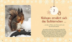 Wundervolle Welt. Adventskalender - 9783831051403 Dorling Kindersley Verlag