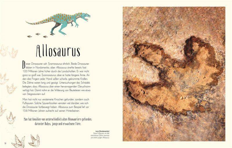 Wundervolle Welt der Dinosaurier und der Urzeit Dorling Kindersley Verlag
