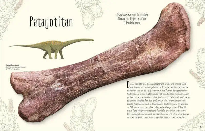 Wundervolle Welt der Dinosaurier und der Urzeit Dorling Kindersley Verlag