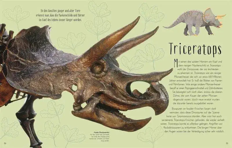 Wundervolle Welt der Dinosaurier und der Urzeit Dorling Kindersley Verlag