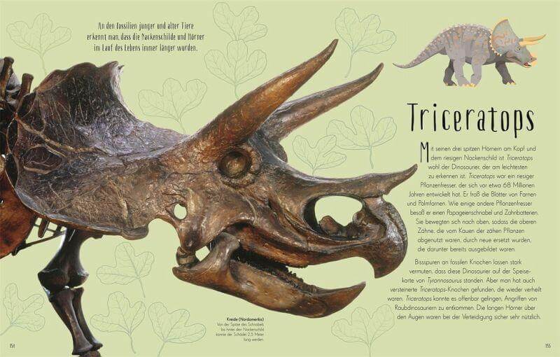 Wundervolle Welt der Dinosaurier und der Urzeit Dorling Kindersley Verlag