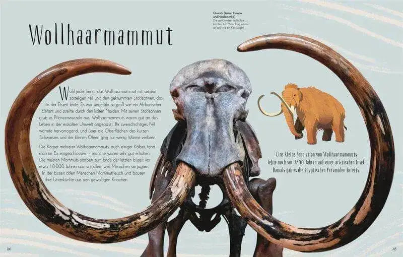 Wundervolle Welt der Dinosaurier und der Urzeit Dorling Kindersley Verlag