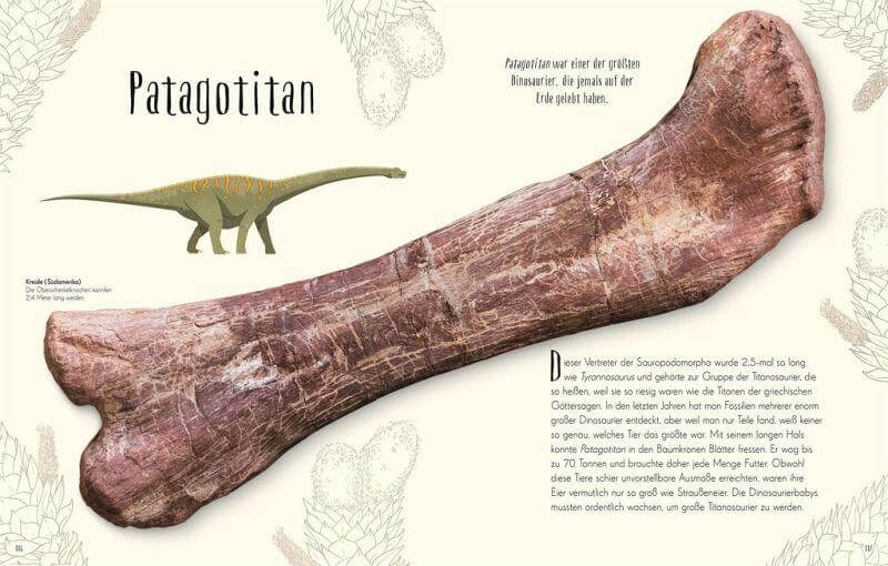 Wundervolle Welt der Dinosaurier und der Urzeit Dorling Kindersley Verlag