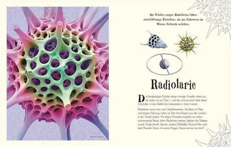 wundervolle-welt-der-natur-kunstundspiel-3 - kunstundspiel 