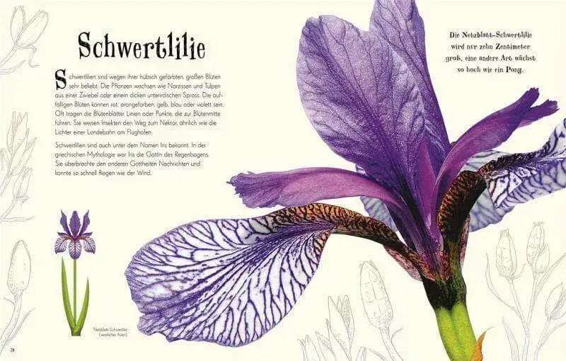 wundervolle-welt-der-natur-kunstundspiel-5 - kunstundspiel 