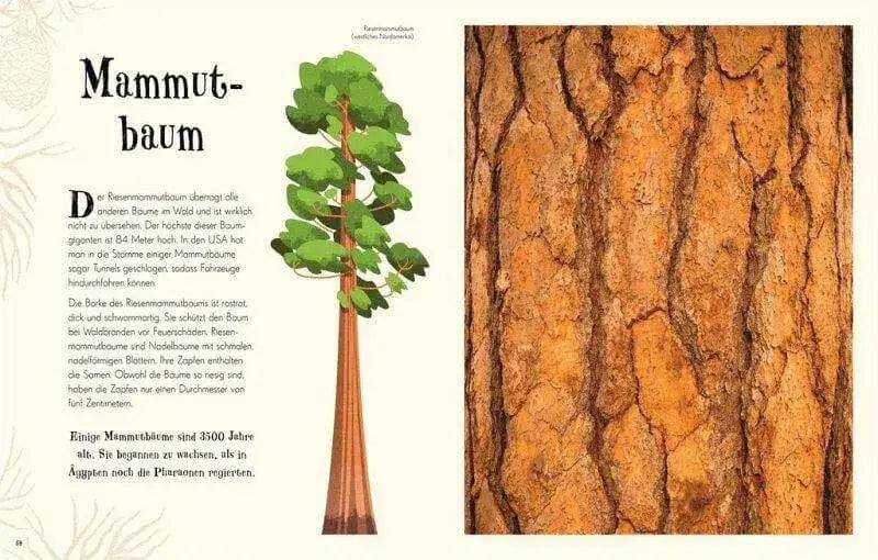 wundervolle-welt-der-natur-kunstundspiel-6 - kunstundspiel 