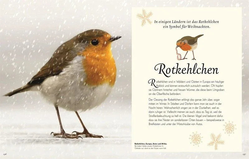 Wundervolle Welt der Vögel - 9783831051144 Dorling Kindersley Verlag
