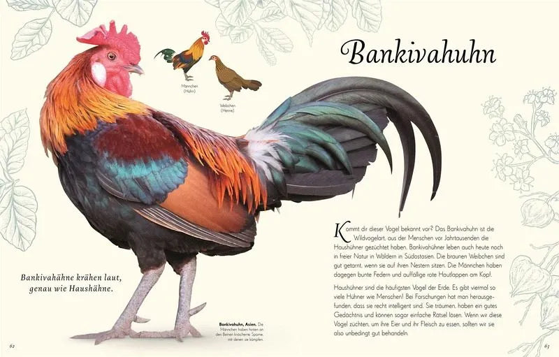 Wundervolle Welt der Vögel - 9783831051144 Dorling Kindersley Verlag