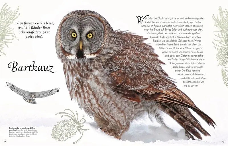 Wundervolle Welt der Vögel - 9783831051144 Dorling Kindersley Verlag