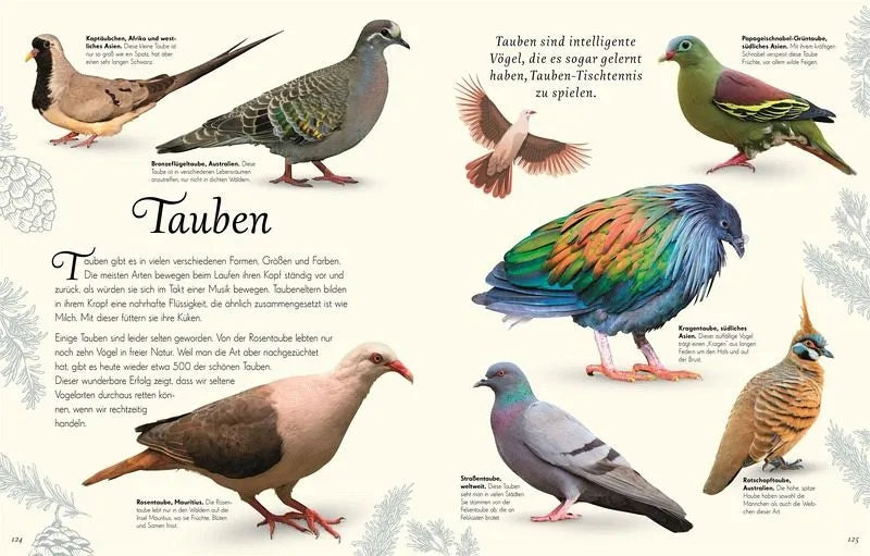 Wundervolle Welt der Vögel - 9783831051144 Dorling Kindersley Verlag