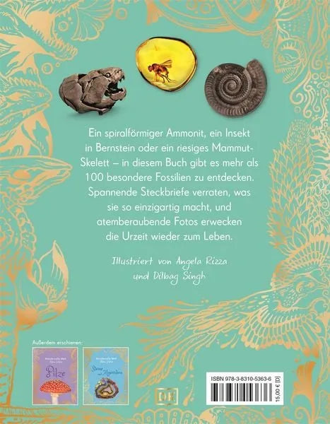 wundervolle-welt-kleine-schatze-fossilien-kunstundspiel-2 - kunstundspiel 