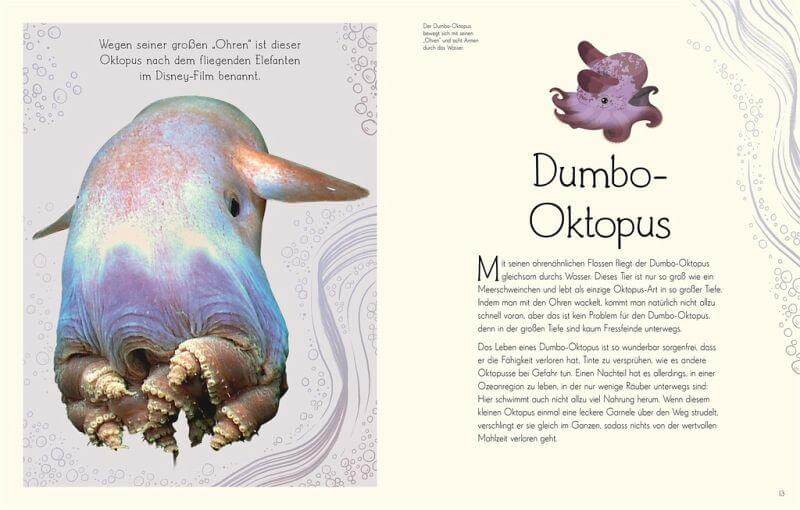 Wundervolle Welt. Wasser Dorling Kindersley Verlag