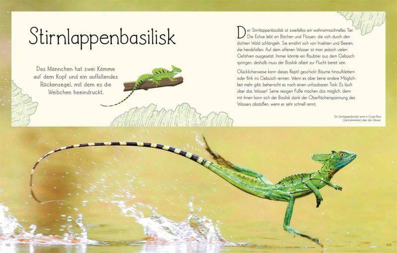 Wundervolle Welt. Wasser Dorling Kindersley Verlag