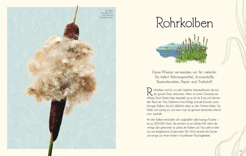 Wundervolle Welt. Wasser Dorling Kindersley Verlag
