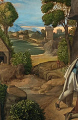 Zeichen und Wunder - Bilder zu Weihnachten - 9783458195405 Insel Verlag